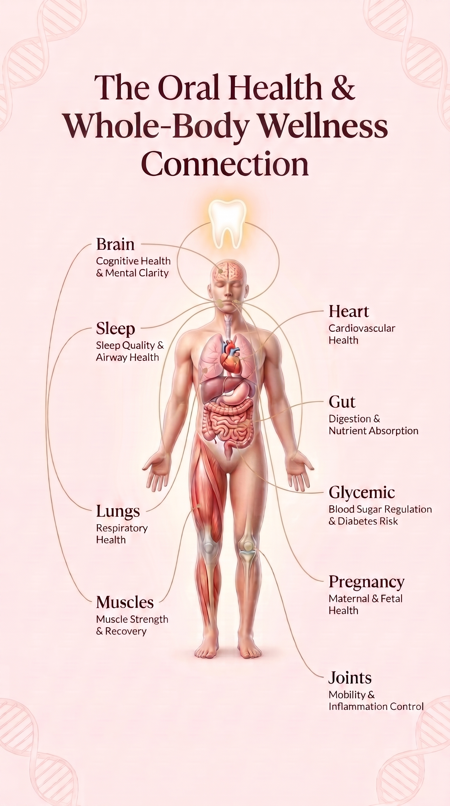Mouth-Body Connection Infographic