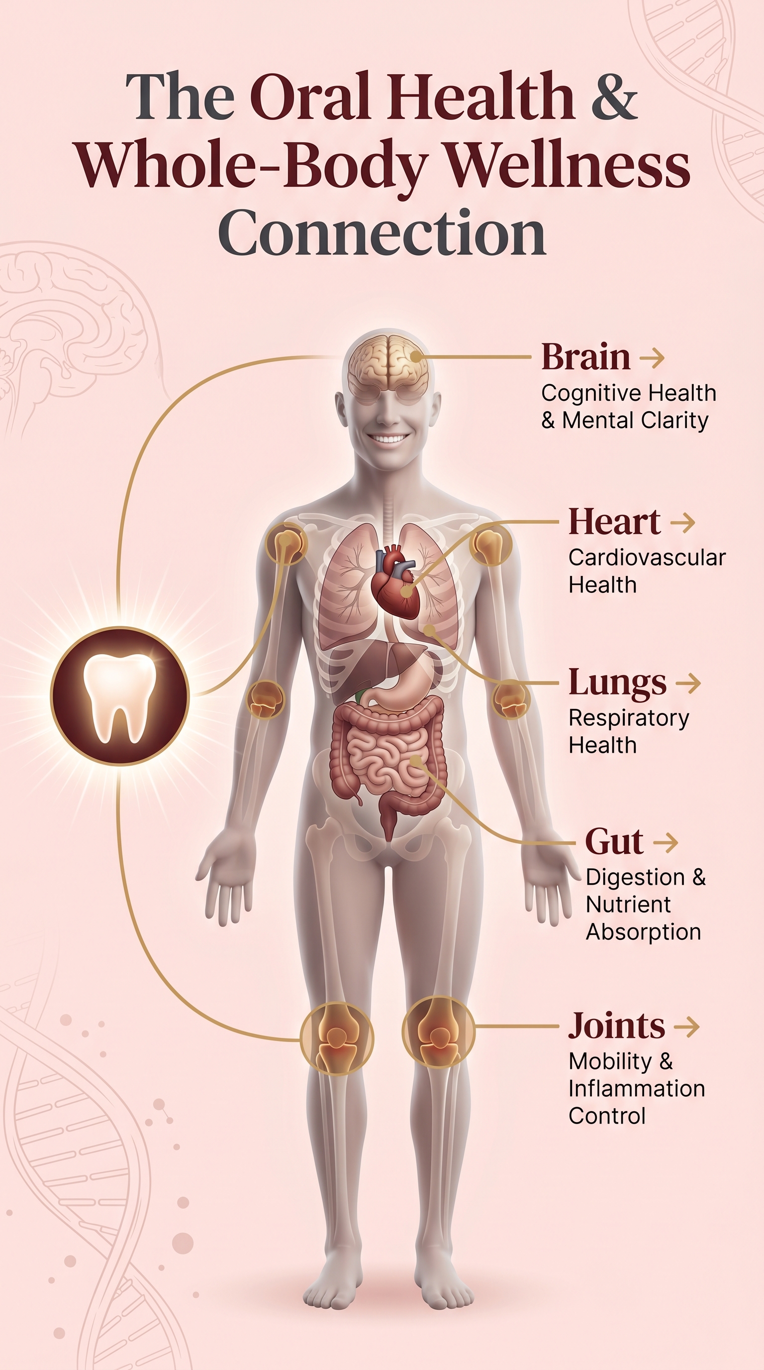 Whole Body Connection